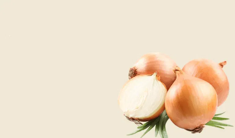 banner-1.png