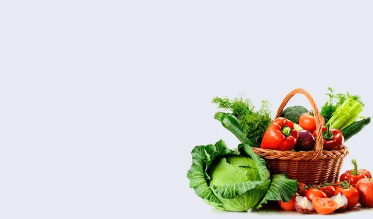 banner-3.png